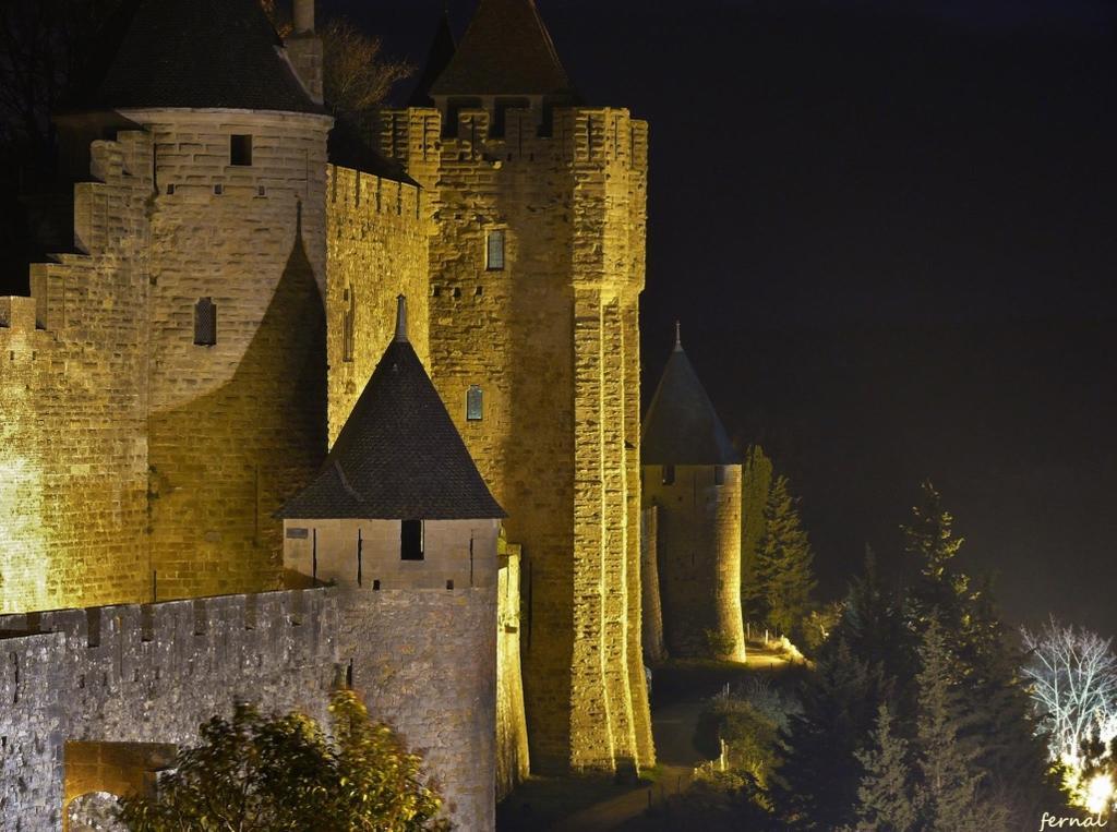 L'Oree De La Cite Каркасон Екстериор снимка